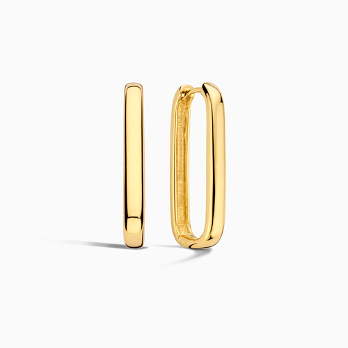 Large Icon Hoops