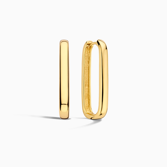 Large Icon Hoops